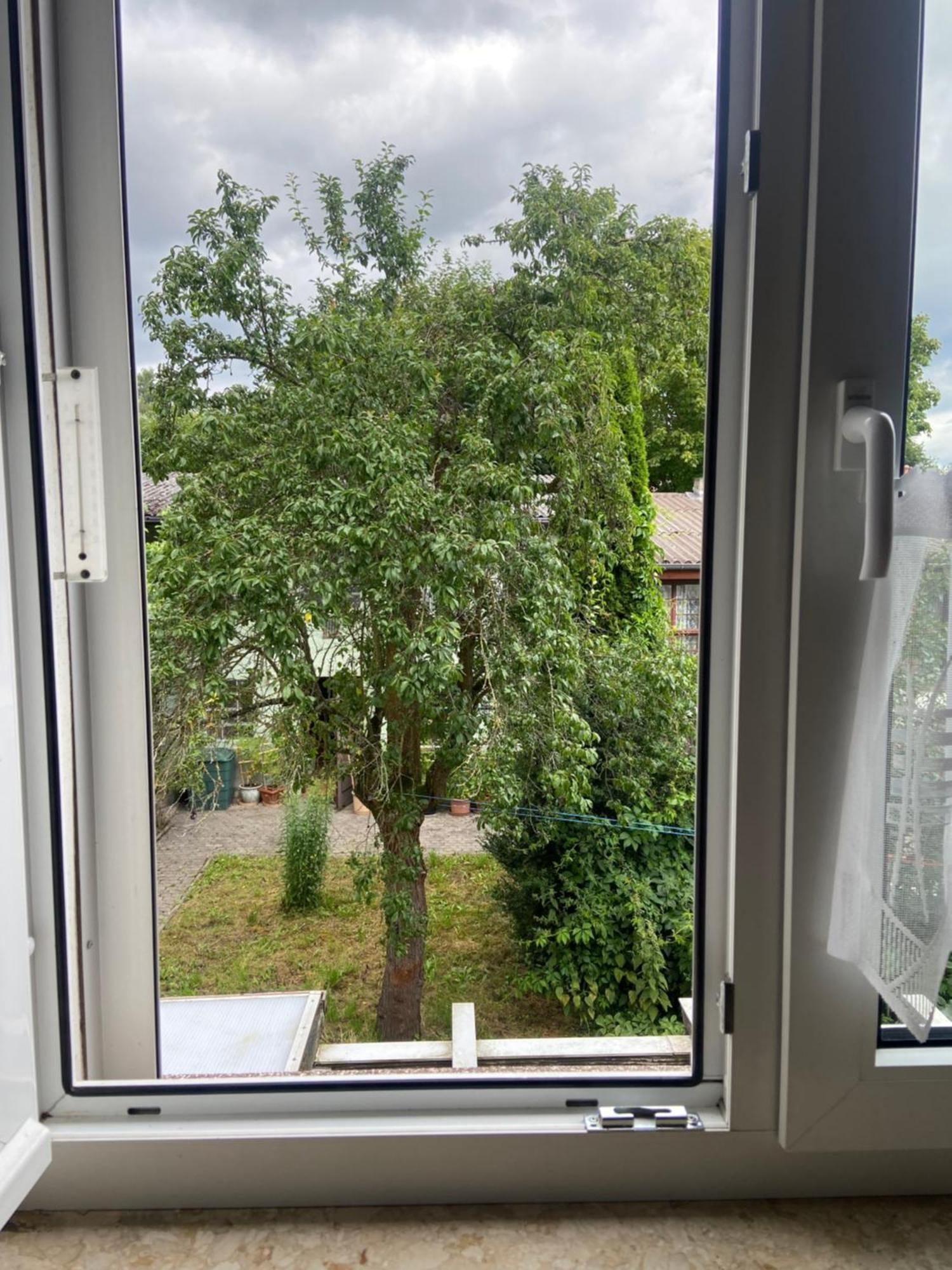 Stadtzentrumnahe Wohnung An Der Gruenen Aue, Kostenfreier Parkplatz Fulda Dış mekan fotoğraf